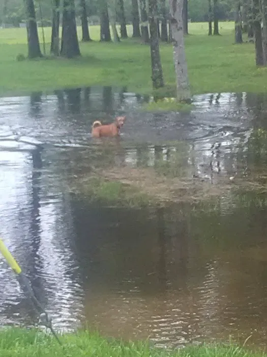 Happy Newland Park Picture 1