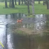 Happy Newland Park ico