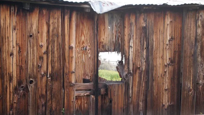 KCL Camp Ground Picture 1