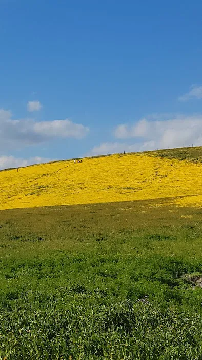 KCL Camp Ground Picture 3