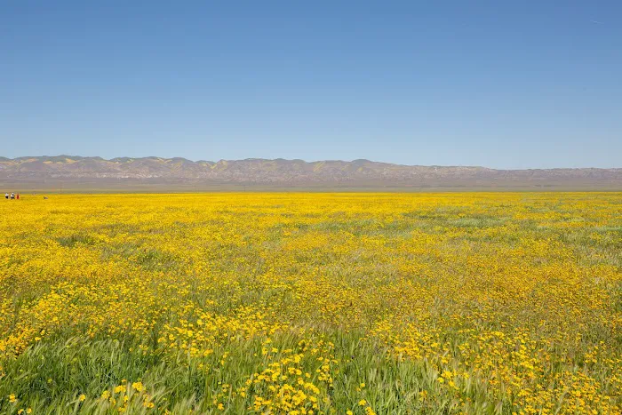 KCL Camp Ground Picture 10