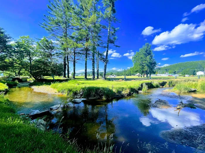 Big Mike's Creekside RV Resort Picture 5