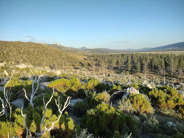 Apple Canyon Yellow Post Camp Site #3 Picture 8