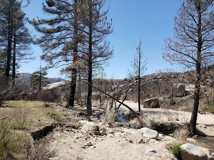 Apple Canyon Yellow Post Camp Site #3 Picture 10