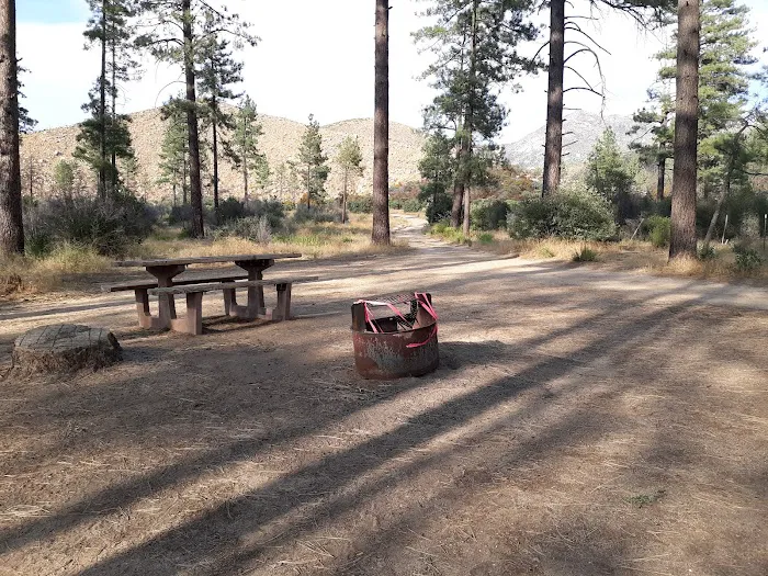 Apple Canyon Yellow Post Camp Site #2 Picture 5