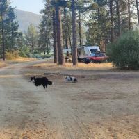 Apple Canyon Yellow Post Camp Site #2 ico