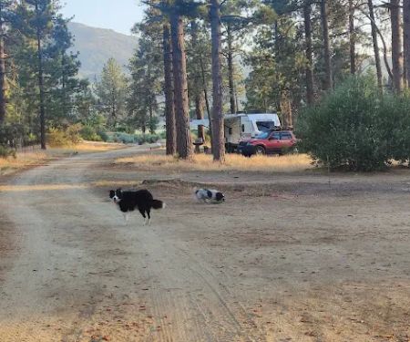 Apple Canyon Yellow Post Camp Site #2