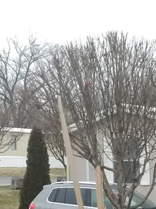 J&R Mobile Home Park | Manufactured homes for rent Picture 5