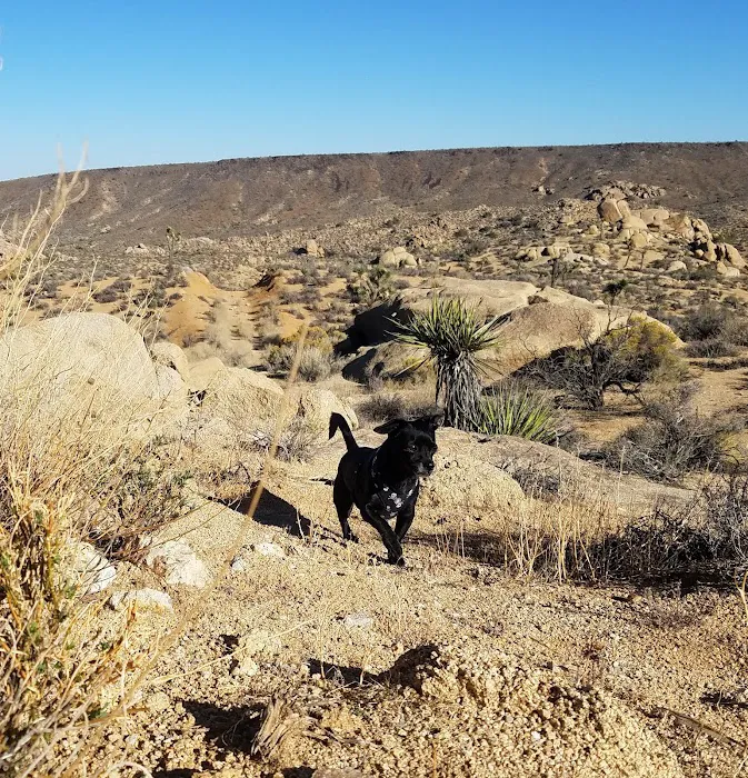 Camp Nylen Picture 10