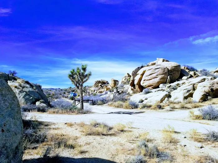 Camp Nylen Picture 6