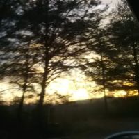 Greenfield Village ico