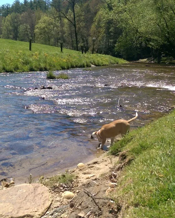 Daniel Boone RV Resort Picture 2