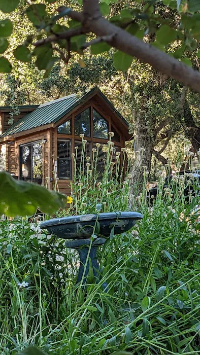 Base camp at palomer Picture 1