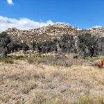 Atu00e1xam Mu00e1mtau2019ash Campground (formerly Indian Flats)