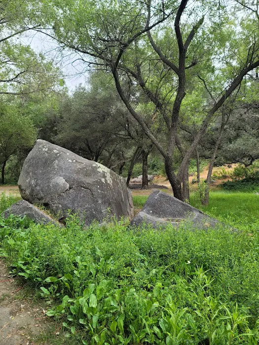 La Jolla Indian Campground Picture 7