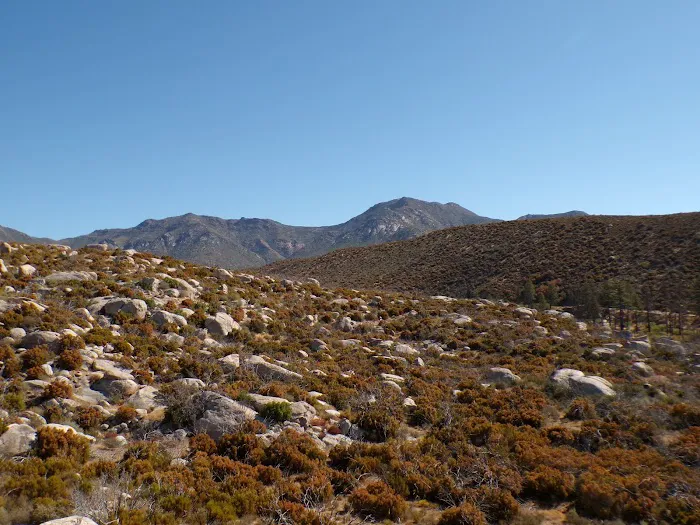 Apple Canyon Campground Picture 6