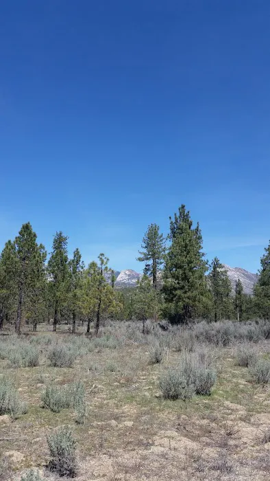 Apple Canyon Campground Picture 7