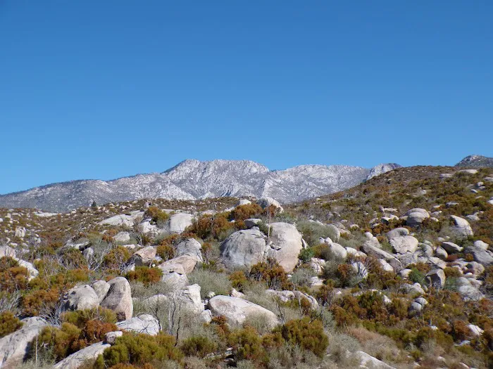 Apple Canyon Campground Picture 3