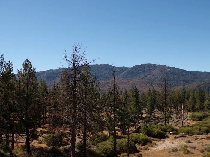 Apple Canyon Campground Picture 2