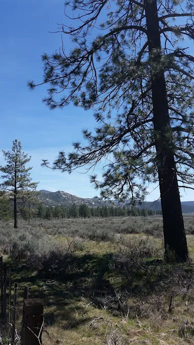 Apple Canyon Campground Picture 4