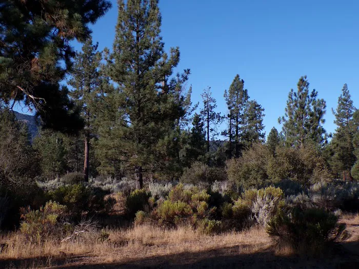 Apple Canyon Campground Picture 9