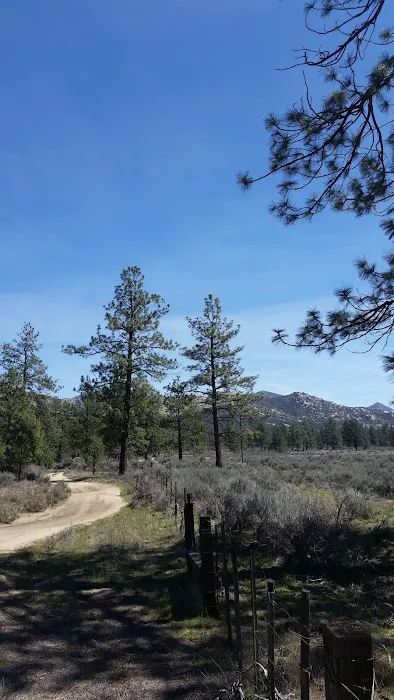 Apple Canyon Campground Picture 5