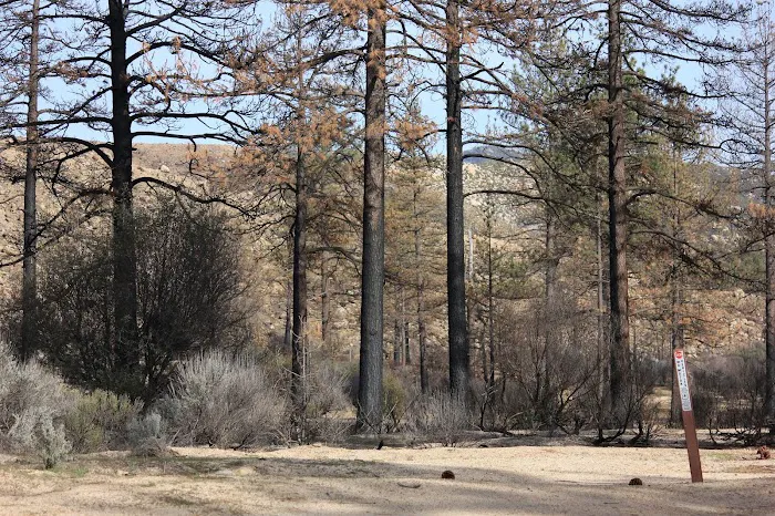 Apple Canyon Yellow Post Camp Site #1 Picture 5