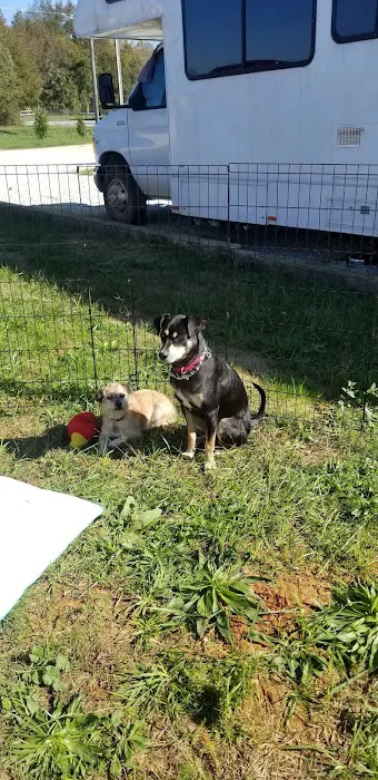 Dry Ridge RV Park Picture 4