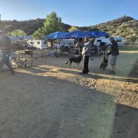 DeBenedetti's place for PCT hikers ico