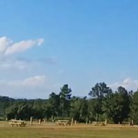 MOUNTAIN VIEW RV PARK LLC, ELLENBORO,NC ico