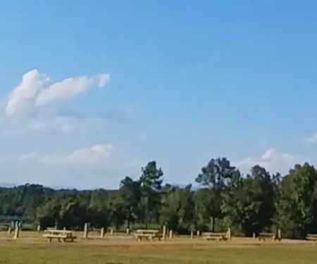 MOUNTAIN VIEW RV PARK LLC, ELLENBORO,NC