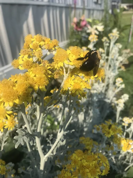 Rolling Hills Estates Picture 4