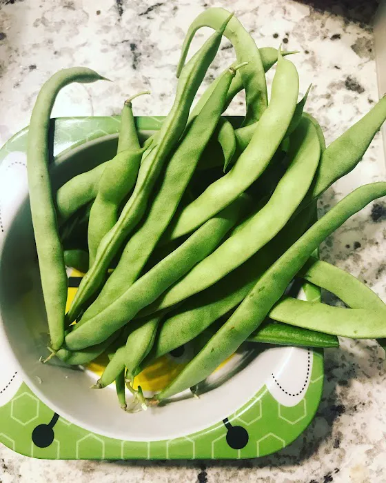 Rolling Hills Estates Picture 2