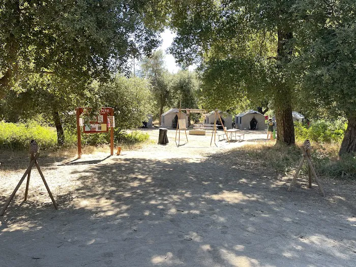 Leaning pine campground Picture 1