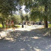 Leaning pine campground ico