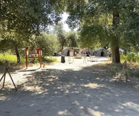 Leaning pine campground