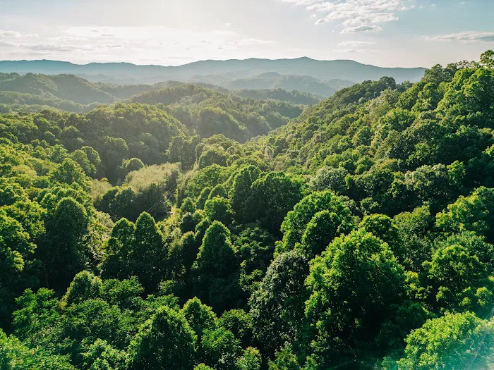 Safe Haven Farm RV Campground & Events Picture 5