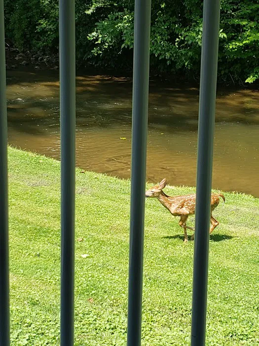 The Hamptons RV Park Picture 7