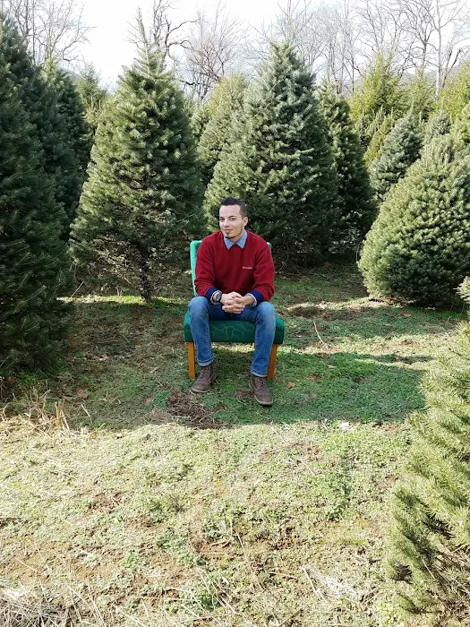 The Hamptons RV Park Picture 3