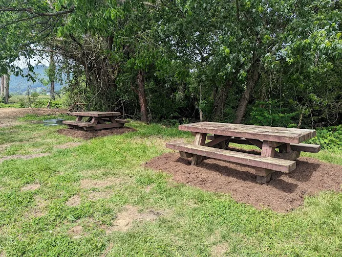 The Hamptons RV Park Picture 5