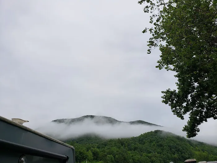 The Hamptons RV Park Picture 6