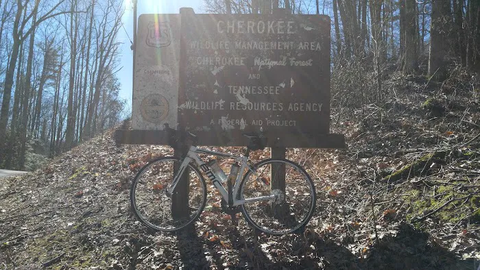 The Hamptons RV Park Picture 2