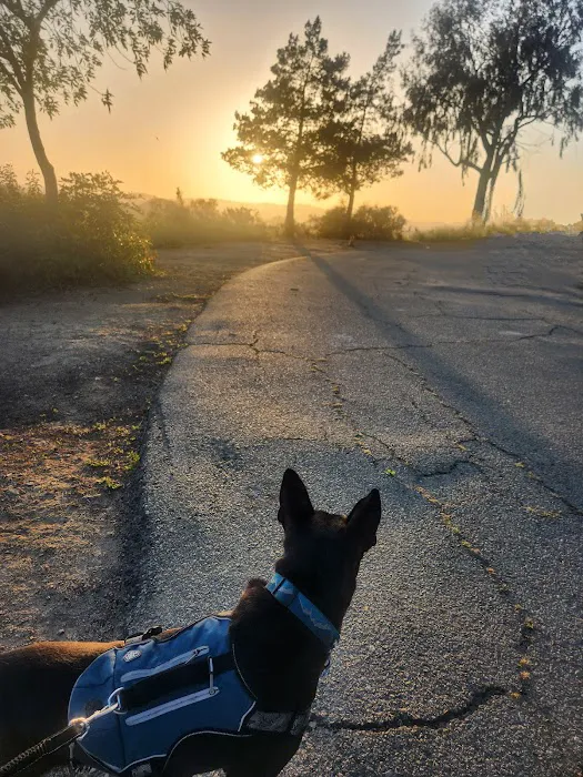 Dixon Lake Campground Picture 6