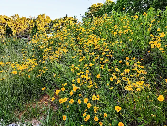 Three Peaks RV Resort Picture 8