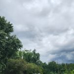 Sweet Dreams North Cove