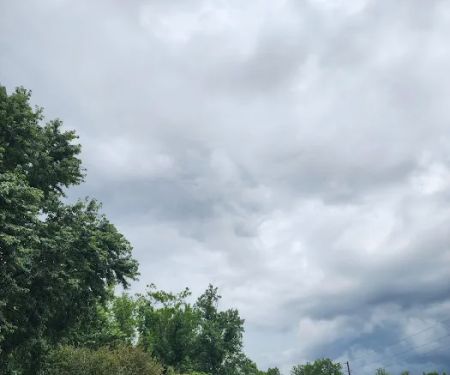 Sweet Dreams North Cove