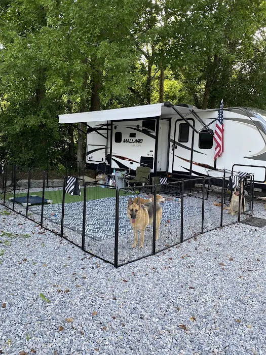 Sweet Dreams North Cove Picture 10