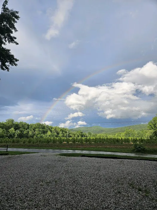 Sweet Dreams North Cove Picture 7