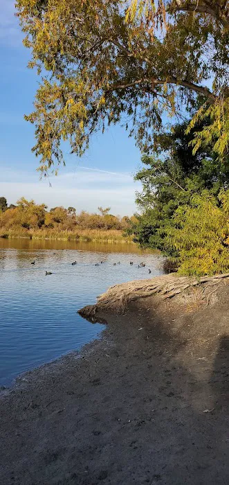 Guajome Regional Park campground Picture 3