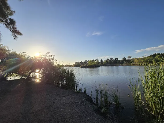 Guajome Regional Park campground Picture 1